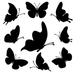 Wall Mural - Set of silhouette black butterflies on white background. Vector