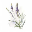 Watercolor minimalist subtle lavender flower, wedding invitation ornament, occasional card element, generative ai	