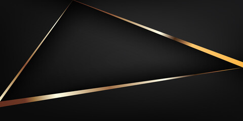 Wall Mural - luxury gold line black background