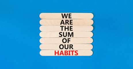 Our habits symbol. Concept words We are the sum of our habits on wooden stick. Beautiful blue table blue background. Copy space. Motivational business we are the sum of our habits concept.