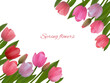 Spring flowers. Floral background. Tulips. Beautiful illustration. Red. Pink. Green leaves. Border. Bouquet. March 8.