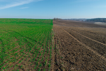 Poster - Cultivated farm field divided in half.