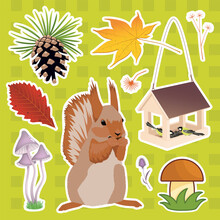 A Set Of Illustrations On A Forest Theme, Stickers With A Squirrel, Cones, Mushrooms And Leaves. Vector