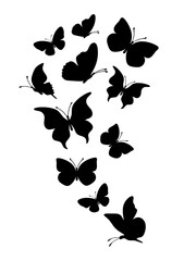 Wall Mural - Flock of silhouette black butterflies on white background