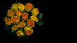 zbliżenie na bukiet róż, żółte kwiaty z pomarańczowym odcienie na czarnym tle - walentynki