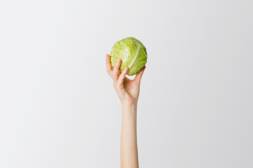 Wall Mural - Woman's hand raised up a white cabbage on a white background