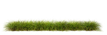 Meadow Grass Row Prairie Cutout Transparent Background 3d Rendering Png File