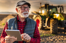 Senior Farmer With Tablet In Field With Tractor In Background