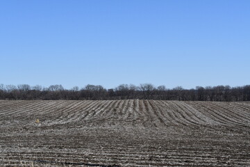 Canvas Print - Cultivated Farmland