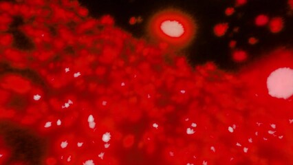 Poster - Space with glowing fluffy balls. Motion. Field of glowing balls in dark space. Lots of glowing balls in style of allergens or diseases