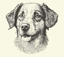 Cute Dog Sketch Hand Drawn Image. Vintage Style. Vector Illustration