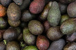 Fresh tropical avocado fruit background, heap of hass avocado.