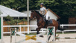 Horse Jumping, Equestrian Sports, Show Jumping Competition themed photo
