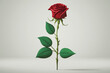 Rosa rossa con stelo e foglie verdi in stile render 3D su sfondo bianco generata dall'AI