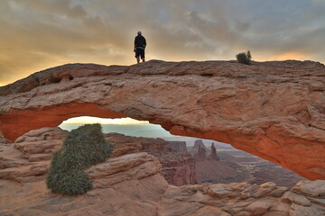 Canvas Print - person in the desert