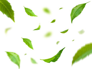 Green Floating Leaves Flying Leaves Green Leaf Dancing, Air Purifier Atmosphere Simple Main Picture.