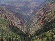 View into the canyon from the North Kaibab Trail at North Rim in Grand Canyon National park