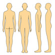 身体モデル　前後　側面　姿勢 