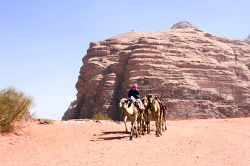 Wall Mural - Bedouin with caravan of camels dromedary ride on off-road on sand among the rocks in Wadi Rum desert, Jordan