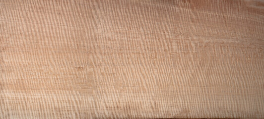 Canvas Print - Maple wood has tiger stripe or curly stripe grain