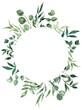 Floral frame with green foliage. Watercolor botanical illustration. Round greenery wreath. PNG clipart.