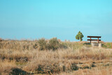 Fototapeta Tulipany - bench in the field