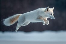 A Young Arctic Fox Jumping In The Snow At Sunset. Generative Ai