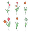 Hand-Drawn bright tulip flowers elegant one-line artwork  vector illustration