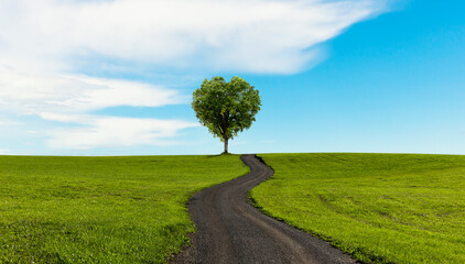 Canvas Print - Grüner Baum in Herzform auf einer grüner Wiese mit Weg