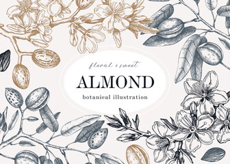 Almond blossom frame design in engraved style. Flowering branches with nuts, flowers, leaves background. Vintage floral drawing. Botanical vector illustration of spring nut tree for banners, prints