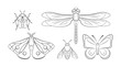 © Iv85 - Insects black and white flat icons set. Cartoon butterfly, ladybug, dragonfly, moth and bee. Garden insects in line art style. Entomology. Collection of vectors outlined bugs isolated on white.