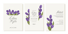 Wedding Invitation With Purple Tulips In Watercolor Style. Vector Template