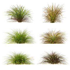 Wall Mural - Cut out nature grass montage 3d illustration png file