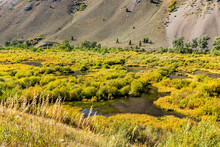 USA, Idaho, Sun Valley, Beaver Ponds In Fall 