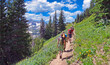 © Jim Glab - Group of hikers heading up the Arapaho Pass Trail in Boulder County, Colorado's Indian Peaks Wilderness