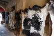 © Tetra Images - Cow hides hanging to dry in tannery