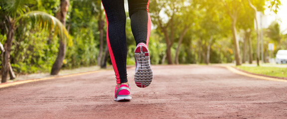 Wall Mural - fitness woman training and jogging in summer park, close up on running shoes