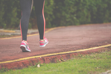 Wall Mural - fitness woman training and jogging in summer park, close up on running shoes