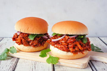 Wall Mural - Jack fruit meatless burgers against a bright background. Healthy eating, plant-based pulled pork meat substitute concept.