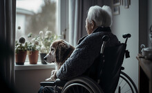 Lonely Sad Elderly Senior Person In Wheelchair In Nursing Home Looking Out Window With Pet Dog. Concept Friendship Animal And People. Generation AI