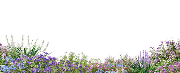 foreground flower gardens and meadows on a transparent background.