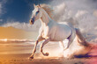 Beautiful white horse galloping along the beach. Generative AI.4