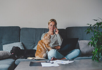 young girl works on laptop at home workplace among the home ,next to ginger cat and dog