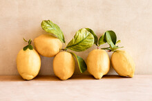 Lemons Citrus Fruit 