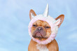 Grumpy French Bulldog dog dressed up with unicorn wearing headband