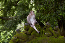 Mischievous Monkey Sitting On Stone Monkey Statue