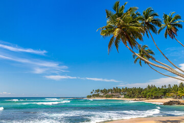 Sticker - Dalawella Beach in  Sri Lanka