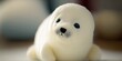 Cute stuffed animal white baby seal. unfocused bokeh background cuddly plush. Adorable children's baby toy.