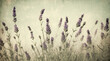 Vintage lavender field illustration, antique rustic floral art for background, wallpaper, design, copy space