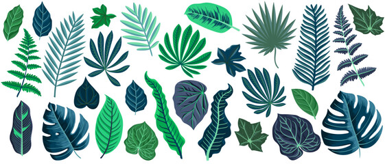 vector drawing green and blue tropical leaves isolated at white background , hand drawn illustration